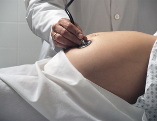 Epigenetic Mechanism Controls Placental Blood Vessel Formation