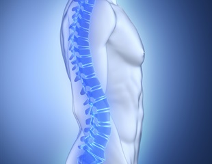 Oxytocin can help control and prevent osteoporosis
