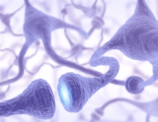Discovery provides new insights into the understanding of tolerance to endotoxic death