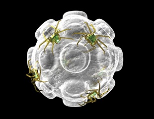 Effective and faster methodology detects RNA viruses based on the triplex-forming probe technology