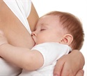 Transition From Milk to Solid Food Shapes Immune System Development