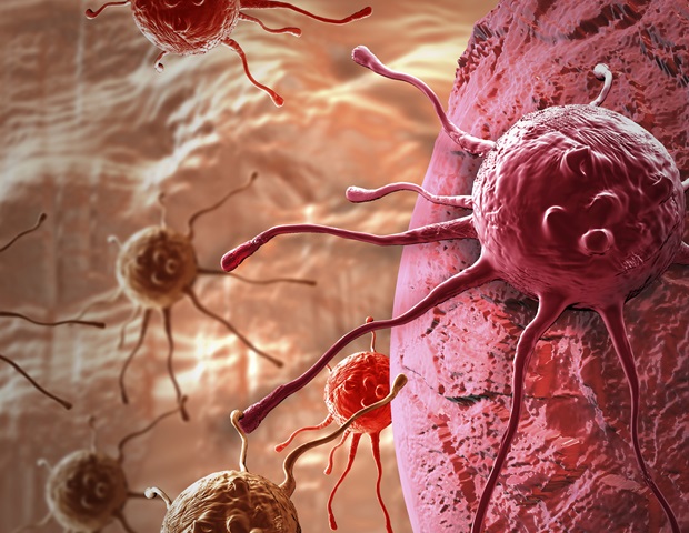 Exploring the Metabolic Pathways of Cancer Cells