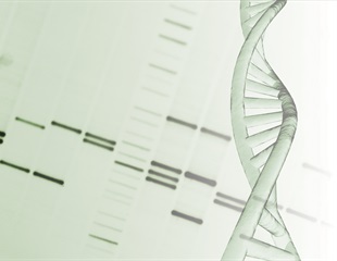 Largest Plant DNA Study Ever Unveils Flowering Plant Tree of Life