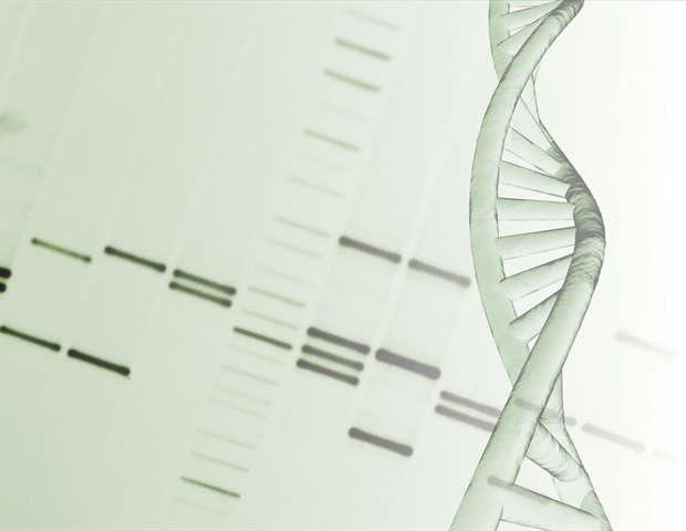 Understanding DNA's Complex 3D Architecture in the Cell