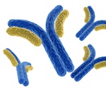 New Research Details Subtype Competition and Therapeutic Potential