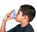 New Research Identifies Gut Fungi as Markers for Food Allergies