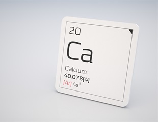 Scientists Unleash the Power of Calcium to Target and Destroy Tumor Cells