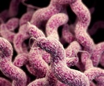 Deep-Sea Vent Bacterium Sheds Light on Evolutionary Journey