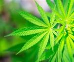 Research highlights the lack of data about lesser-known cannabis compounds