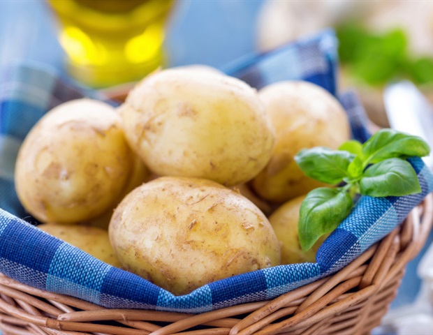 Study Unveils the Complete Biosynthetic Loop Regulating Tannin Production in Strawberries