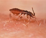 Targeting the Chagas Parasite by Interrupting Its Lifecycle