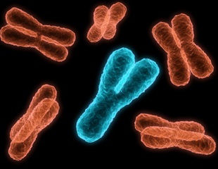 New Chromosome Identification System Revolutionizes Alfalfa Research