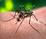 Scientists design new gene drive to stop the transmission of devastating diseases