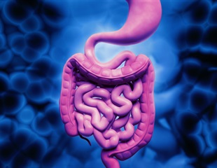 Coffee found to have a stimulating effect on some digestive processes