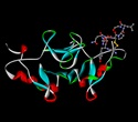 Genetically Engineered Gene Deletions Reveal Unexpected Links Between Ghrelin and Blood Glucose Stability