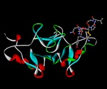 Human Organoids Provide Insights Into Gut Hormone Release