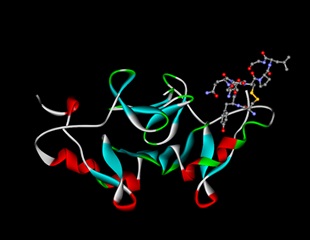Genetically Engineered Gene Deletions Reveal Unexpected Links Between Ghrelin and Blood Glucose Stability