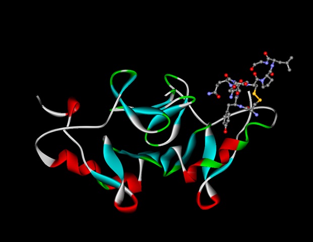 Genetically Engineered Gene Deletions Reveal Unexpected Links Between Ghrelin and Blood Glucose Stability