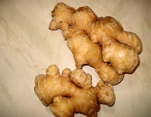 Ancient Frogs Provide First Molecular Evidence of Ginger Coloration