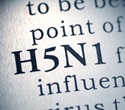 H5N1 Evolution Points to Higher Risk of Human Transmission