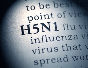H5N1 Strain Shows Limited Airborne Transmission in Ferrets