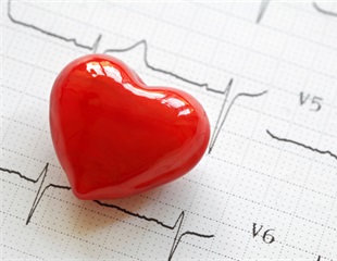 Genetic Variants Linked to Rare Bicuspid Aortic Valve Disease Identified