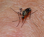 Trace the Evolution of Malaria Parasite Proteins