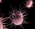 New Compound Fights Superbug Gonorrhea via Toxin-Antitoxin System