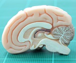 Genetically encoded sensor helps detect hallucinogenic substances