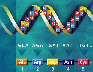 Innovative Biocatalysis Method Promises Faster, Greener Drug Manufacturing