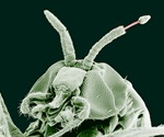 LSTM Research Identifies 91 RNA Viruses in Parasitic Worms