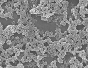 Understanding Particle Drift and its Influence on Oral Drug Absorption Using Flux Tools