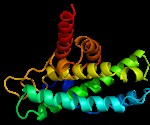 Novel protein degradation technology provides functional insights into how CTCF regulates transcription