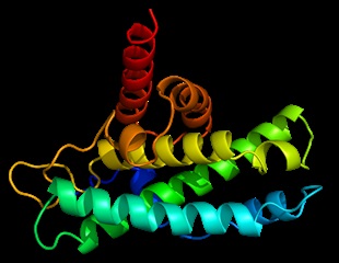 Femtosecond Crystallography Reveals Cryptochrome Mechanisms
