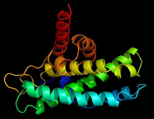 Mapping Thousands of Conserved Gene Groups Across Grasses