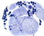 Genomic research can help combat COVID-19