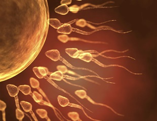 Tree nut consumption impacts sperm DNA methylation