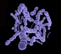 Genomic Tool TRACS Improves Tracking of Microbial Transmission Patterns