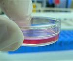 Light-Based 3D Printing for Precise Cellular Organization in Tissue Engineering