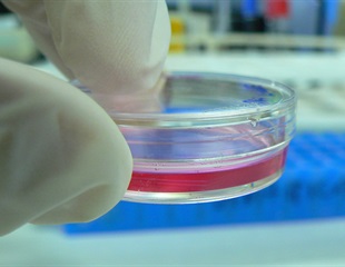 Light-Based 3D Printing for Precise Cellular Organization in Tissue Engineering