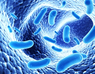 Study Decodes Molecular Key Triggering SARS-CoV-2 Cell Invasion
