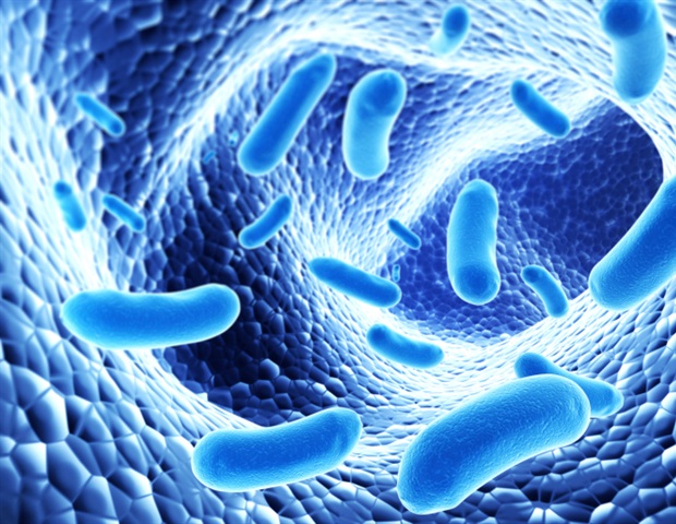 Study Decodes Molecular Key Triggering SARS-CoV-2 Cell Invasion