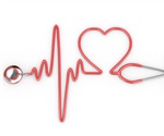 Research provides insight into the regulation of heartbeats