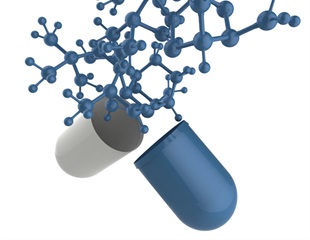 The Role of Metabolism in Bacterial Survival and Resistance