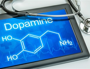 Dopamine and Serotonin Act as Opposing Forces in Learning and Reward