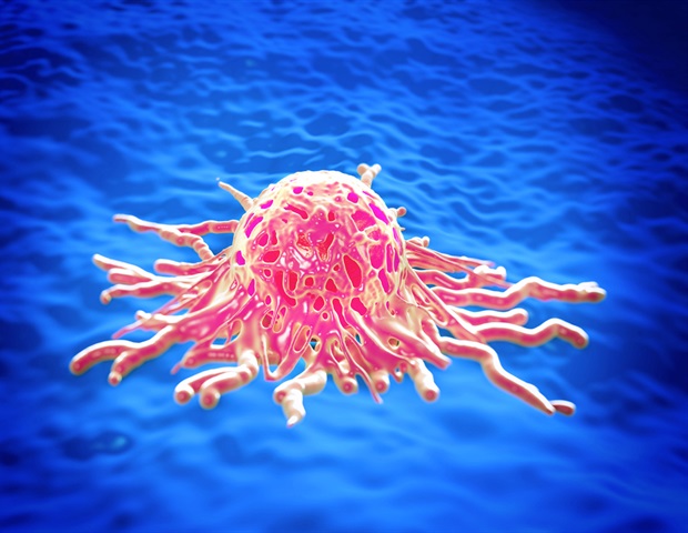 Laverock Therapeutics Reports Key Oncology Research Milestones