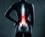 Dendritic Spine Clusters Physically Link Memories Formed Close in Time