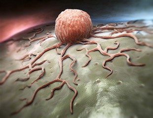Peptides Boost Anti-Tumor Activity of Drugs