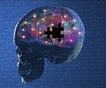 Disrupted circadian rhythms in older adults linked to increased risk of Parkinson's disease