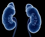 UMSOM researchers uncover mechanism to explain role of genetic mutations in kidney disease